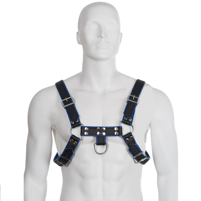 Leather Body - Chest Bulldog Leather Harness Black/Blue, One Size