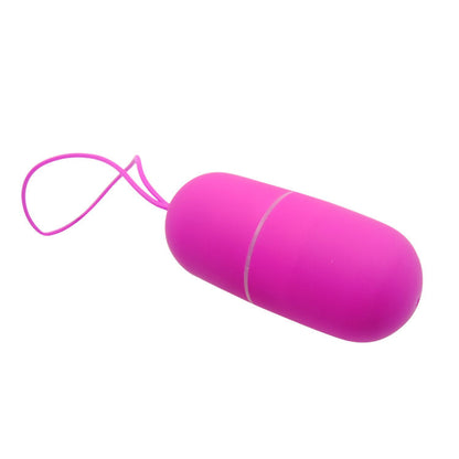 Pretty Love Flirtation - Arvin Egg Vibrator With Remote Control 12V