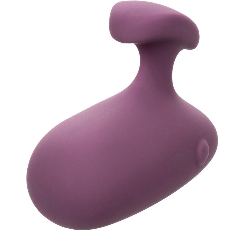 Calexotics- Mod Touch Stimulator Violet